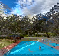 Tahune Airwalk Active Day Trip from Hobart Including Hastings Caves - Attractions Brisbane