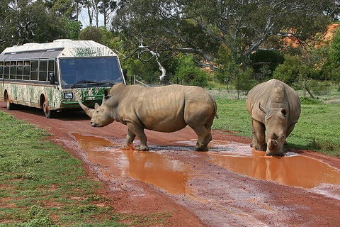 The Ultimate Melbourne Attractions Pass - Attractions Brisbane 4