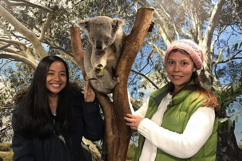 The Ultimate Sydney Attractions Pass - Attractions Brisbane 1