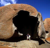 Full-Day Kangaroo Island Safari from Penneshaw - Attractions Brisbane