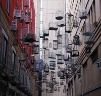 Sydney Book A Local Host - Attractions Brisbane