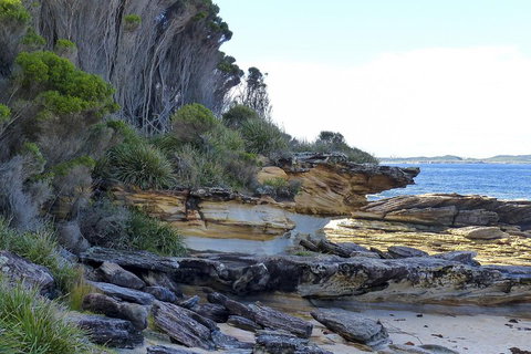 Day Trip To Cronulla & The Royal National Park - Attractions Brisbane 4