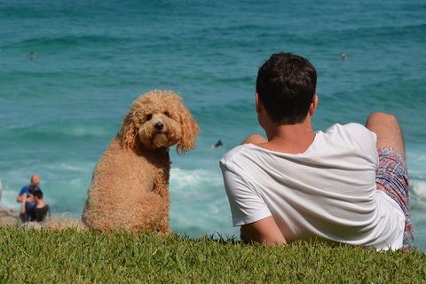 See Sydney With A Local: Private & Personalized - Attractions Brisbane 5