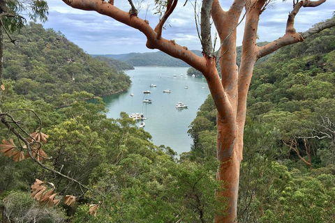 Shore Excursion: Sydney's Northern Beaches & Ku-ring-gai National Park Bus Tour - Attractions Brisbane 1
