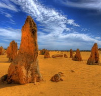 Pinnacles Desert  New Norcia Day Tour from Perth - Attractions Brisbane