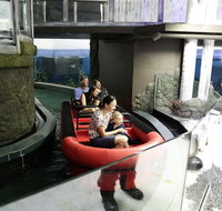 Sydney Attractions Pass SEA LIFE Aquarium Sydney Tower Eye WILD LIFE Zoo and Madame Tussauds - Attractions Brisbane