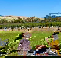 Private Picnic and Wine Tasting Experience in Barossa Valley - Attractions Brisbane