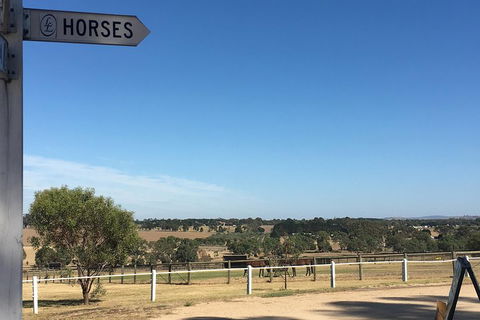 Legends & Champions Tour - Attractions Brisbane 5