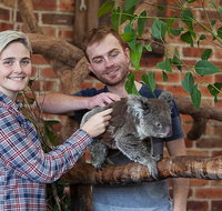 Private Tour Blue Mountains Day Trip from Sydney - Attractions Brisbane