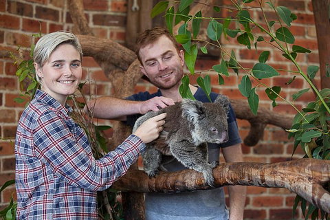 Private Tour: Blue Mountains Day Trip From Sydney - Attractions Brisbane 0