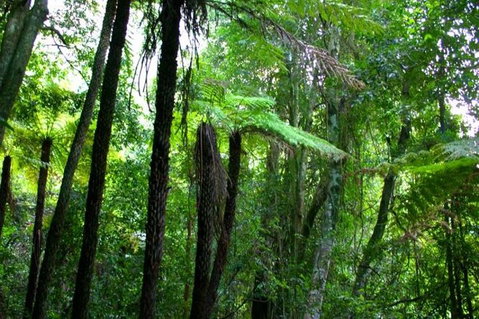 Private Tour: Blue Mountains Day Trip From Sydney - Attractions Brisbane 4