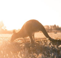 Small Group Mornington Peninsula Hike and Hot Springs Day Tour from Melbourne - Attractions Brisbane