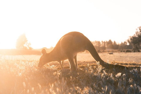 Small Group: Mornington Peninsula Hike And Hot Springs Day Tour From Melbourne - Attractions Brisbane 0