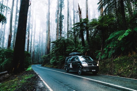 Small Group: Mornington Peninsula Hike And Hot Springs Day Tour From Melbourne - Attractions Brisbane 3