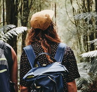 Small Group - Yarra Valley  Dandenong Ranges Hike from Melbourne - Attractions Brisbane