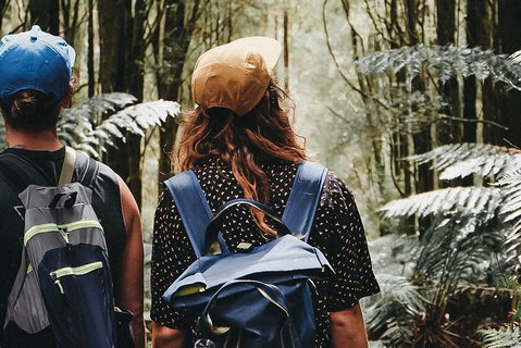 Small Group - Yarra Valley & Dandenong Ranges Hike From Melbourne - Attractions Brisbane 0