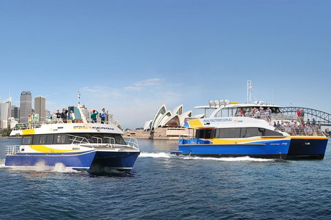 Go City | Sydney Explorer Pass With 20+ Attractions And Tours - Attractions Brisbane 5