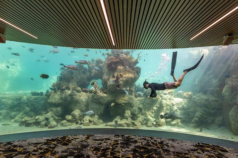 Whitehaven Beach And Daydream Island Cruise - Attractions Brisbane 4
