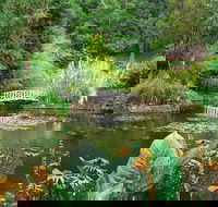 Hobart Half-Day Sightseeing Coach Tram Tour - Attractions Brisbane