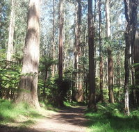 Dandenong Ranges Private Tour Including William Ricketts Sanctuary - Attractions Brisbane