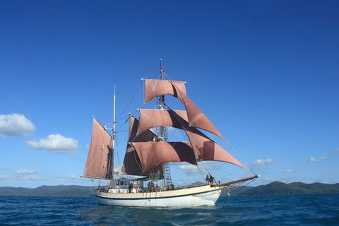 Sydney Harbour Tall Ship Whale & Sail - Whale Watching Cruise - Attractions Brisbane 1