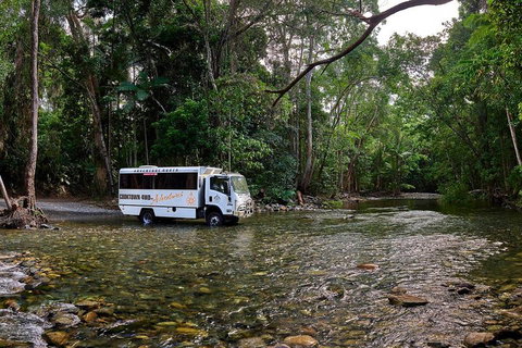 3 Day Cape Tribulation & Cooktown Tour From Cairns Or Port Douglas - Attractions Brisbane 3