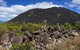 3 Day Cape Tribulation & Cooktown Tour From Cairns Or Port Douglas - thumb 5