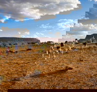 Mount Conner 4WD Small Group Tour from Ayers Rock including Dinner - Attractions Brisbane