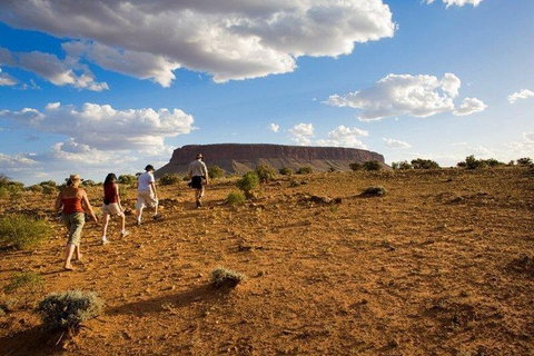 Mount Conner 4WD Small Group Tour From Ayers Rock Including Dinner - Attractions Brisbane 0