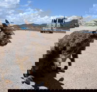 Magnetic Island Tour Maggie Comprehensive - Attractions Brisbane