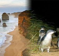 Melbourne Super Saver Great Ocean Road  Phillip Island  Attraction Pass - Attractions Brisbane
