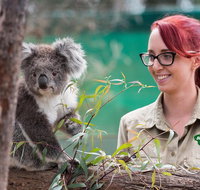 Small-Group Phillip Island Penguin Parade Day Tour from Melbourne - Attractions Brisbane