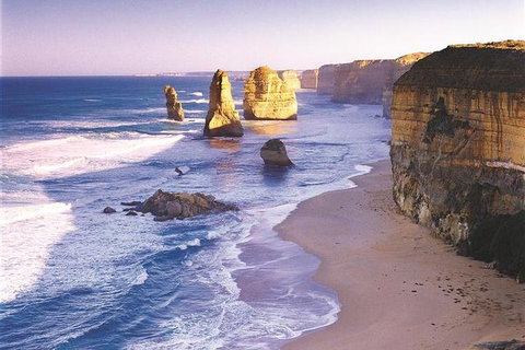 Melbourne Combo: Great Ocean Road, Puffing Billy, Moonlit Sanctuary & Penguins - Attractions Brisbane 0