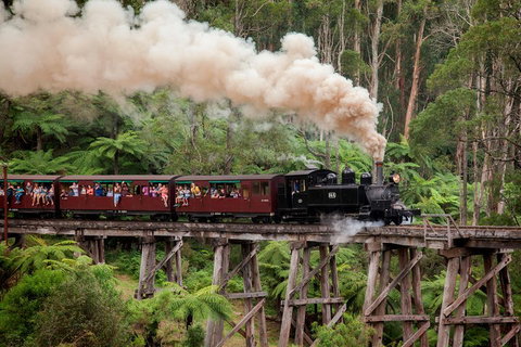Melbourne Combo: Great Ocean Road, Puffing Billy, Moonlit Sanctuary & Penguins - Attractions Brisbane 1