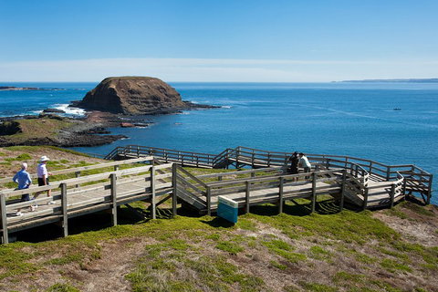 Melbourne Combo: Great Ocean Road, Puffing Billy, Moonlit Sanctuary & Penguins - Attractions Brisbane 5