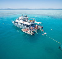 Ocean Freedom Great Barrier Reef Personal Luxury Snorkel  Dive Cruise Cairns - Attractions Brisbane