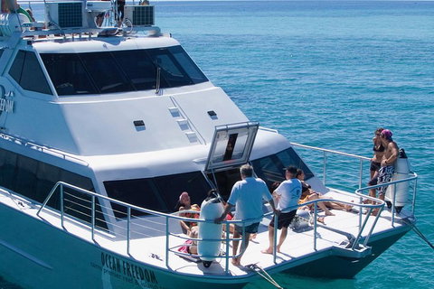 Ocean Freedom Great Barrier Reef Personal Luxury Snorkel & Dive Cruise, Cairns - Attractions Brisbane 1