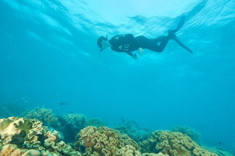 Ocean Freedom Great Barrier Reef Personal Luxury Snorkel & Dive Cruise, Cairns - Attractions Brisbane 5