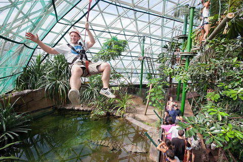 Cairns ZOOM And Wildlife Dome - Attractions Brisbane 4