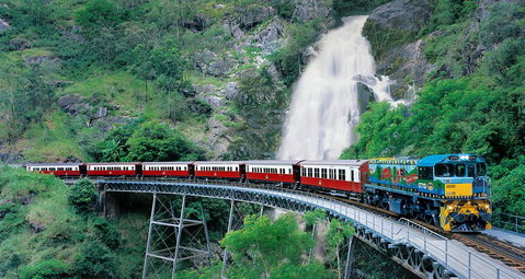Classic Kuranda By Skyrail And Scenic Railway Including Rainforestation, Koala And Wildlife Park And Pamagirri Aboriginal Experi - Attractions Brisbane 1