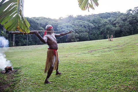 Classic Kuranda By Skyrail And Scenic Railway Including Rainforestation, Koala And Wildlife Park And Pamagirri Aboriginal Experi - Attractions Brisbane 5