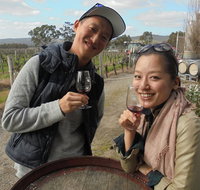 Swan Valley River Cruise and Wine Tasting Day Trip from Perth - Attractions Brisbane