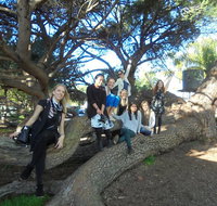 1/2 day Swan Valley Wine Cheese  Chocolate Tour Inc Afternoon Cruise to Perth - Attractions Brisbane