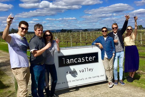 Swan Valley Tour From Perth: Wine, Beer And Chocolate Tastings - Attractions Brisbane 1
