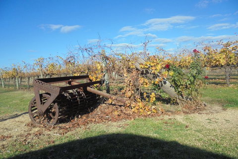 Swan Valley Tour From Perth: Wine, Beer And Chocolate Tastings - Attractions Brisbane 3