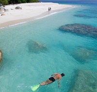 Fitzroy Island Day Trip from Cairns - Attractions Brisbane