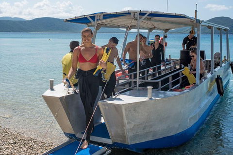 Fitzroy Island Day Trip From Cairns - Attractions Brisbane 5