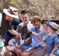 2 day Ultimate Kangaroo Island with return ferry - Attractions Brisbane