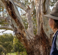 NEW TOUR - Kangaroo Island Road to Recovery Tour 1 Day/1 Night - Attractions Brisbane