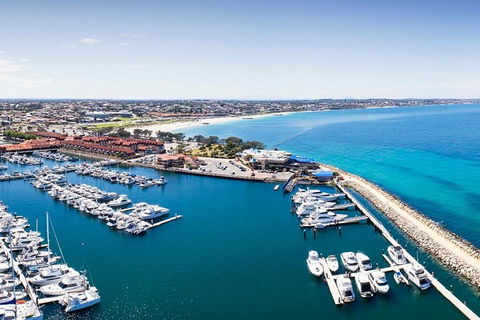 Glass Bottom Boat & Entry At AQWA - Attractions Brisbane 2